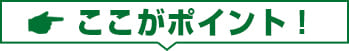 ここがポイント!